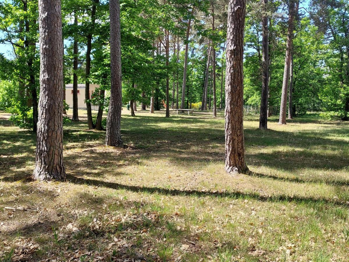 Camping Onlycamp Les Pins Nancay Buitenkant foto