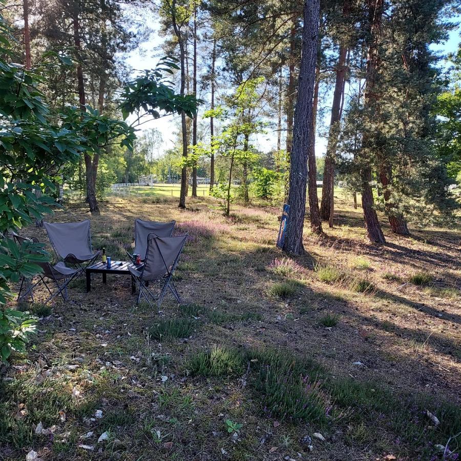 Camping Onlycamp Les Pins Nancay Buitenkant foto
